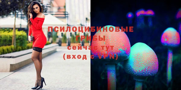 соль ск Бугульма