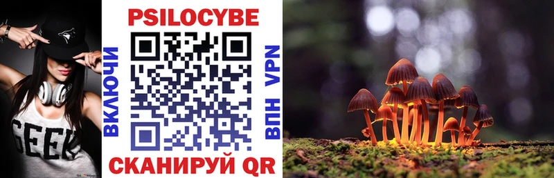 Псилоцибиновые грибы мицелий  Купить  Черногорск 