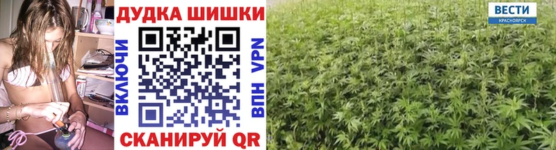 Купить  Черногорск  Марихуана сатива 